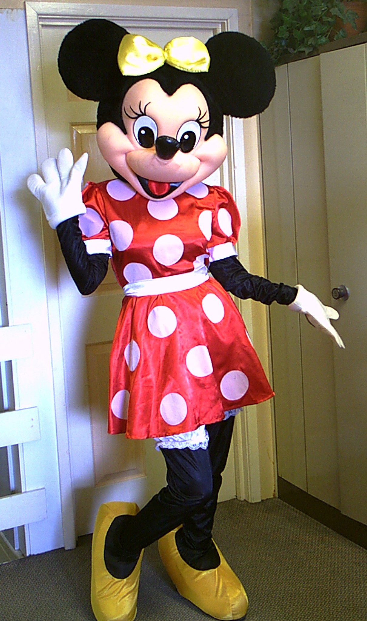 Disney Character Dress Up Yorkshire